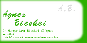 agnes bicskei business card